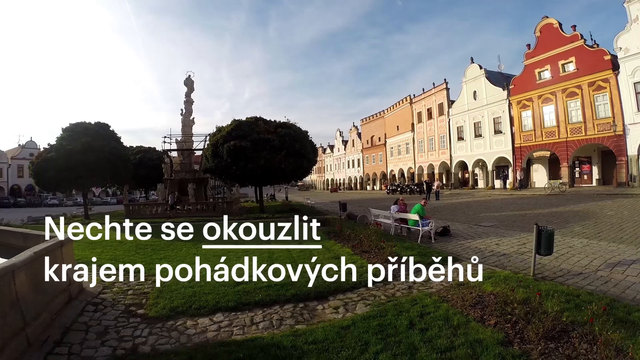 VYSOČINA MICE