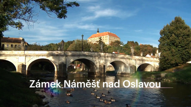 VYSOČINA MICE