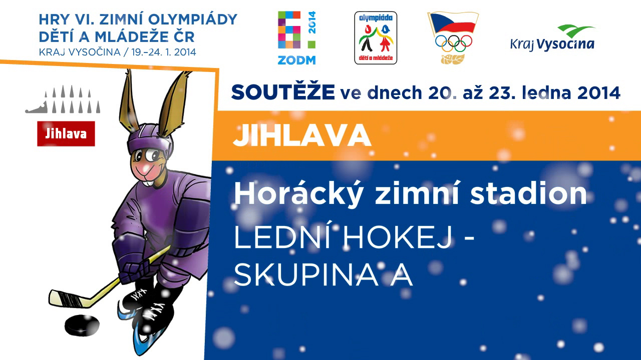 Hokejová ledka — kraj Vysočina