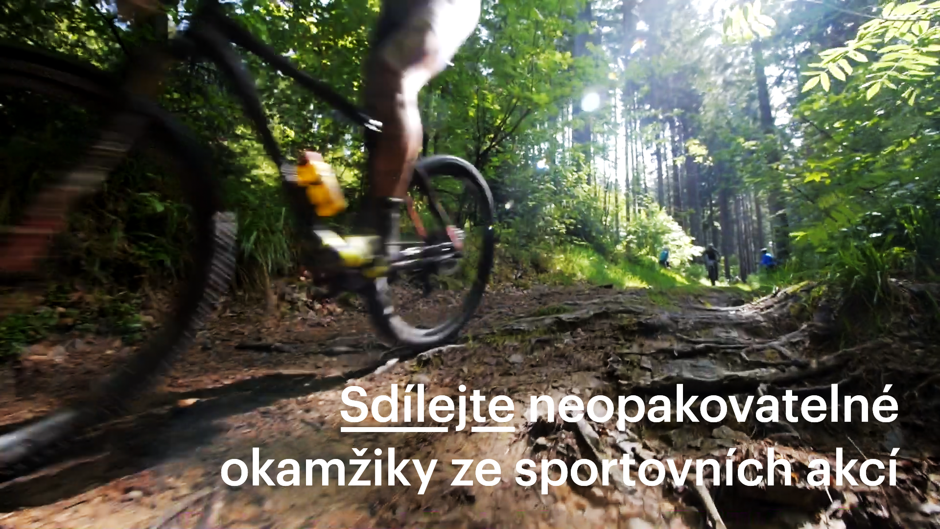 VYSOČINA MICE