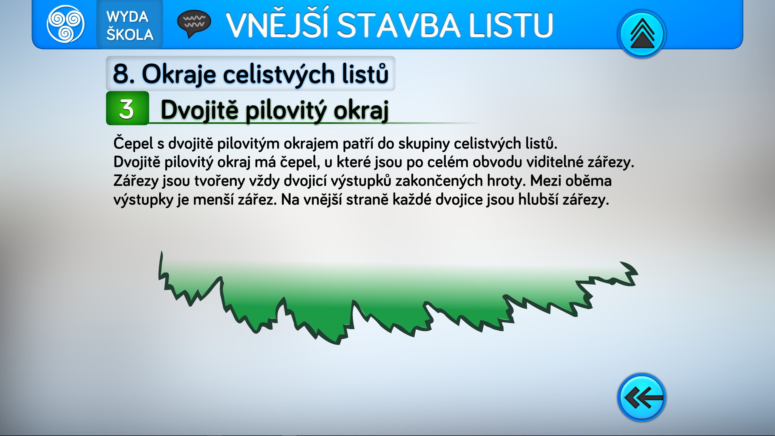 Listy stromů